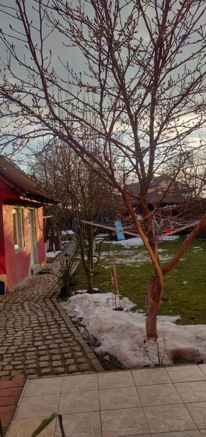 Готель Casa Terzea Ришнов Екстер'єр фото